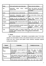 Referāts 'Veselīgs uzturs', 7.