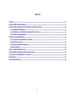 Referāts 'Emocionālais intelekts skolā', 2.