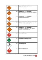Paraugs 'Darba aizsardzības instrukcija darbam ar ķīmiskām vielām', 4.