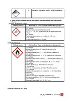 Paraugs 'Darba aizsardzības instrukcija darbam ar ķīmiskām vielām', 6.