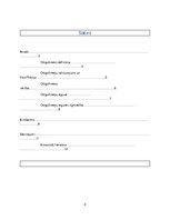 Konspekts 'Dārgakmeņi', 2.