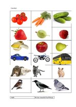 Prezentācija 'Bērna runas/valodas izpēte pirmsskolas vecumā', 5.