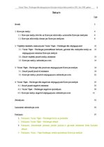 Referāts 'Vairas Vīķes - Freibergas tēla atspoguļojums Krievijas medijos laika posmā no 20', 2.