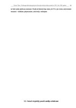 Referāts 'Vairas Vīķes - Freibergas tēla atspoguļojums Krievijas medijos laika posmā no 20', 12.