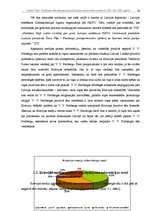 Referāts 'Vairas Vīķes - Freibergas tēla atspoguļojums Krievijas medijos laika posmā no 20', 20.