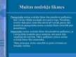 Prezentācija 'Muitas nodoklis', 13.