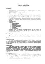 Konspekts 'Mācību nodarbība', 1.