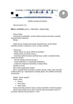 Konspekts 'Stafetes apraksts pirmskolai', 1.