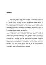 Referāts 'Valodas filosofija', 11.