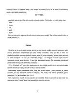 Referāts 'Krāsu kombināciju uztveres īpatnības un to izmantošana āra reklāmā', 6.