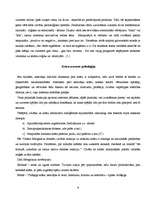 Referāts 'Krāsu kombināciju uztveres īpatnības un to izmantošana āra reklāmā', 8.