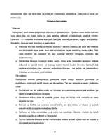 Referāts 'Krāsu kombināciju uztveres īpatnības un to izmantošana āra reklāmā', 10.