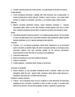 Referāts 'Krāsu kombināciju uztveres īpatnības un to izmantošana āra reklāmā', 11.