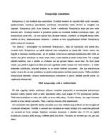 Referāts 'Krāsu kombināciju uztveres īpatnības un to izmantošana āra reklāmā', 12.