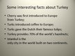 Prezentācija 'Turkey', 18.