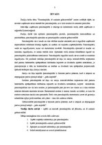 Referāts 'Pamatkapitāls, tā uzskaite grāmatvedībā', 3.