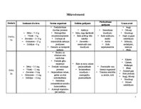 Konspekts 'Minerālvielas', 7.