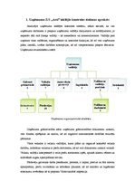 Konspekts 'Mājas darbs revīzijā un kontrolē', 2.