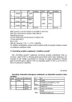 Referāts 'Investīcijas', 13.