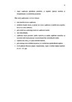 Referāts 'Uzņēmējdarbības formas', 8.