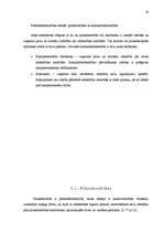 Referāts 'Uzņēmējdarbības formas', 17.