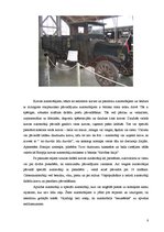 Referāts 'Automašīnu ražotājkompānijas Eiropas Savienībā', 8.