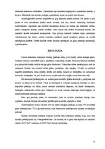 Referāts 'Automašīnu ražotājkompānijas Eiropas Savienībā', 10.