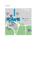 Referāts 'Riga International Airport. Ground Handling Operations', 12.