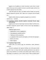 Prakses atskaite 'A/s "Parex banka"', 36.