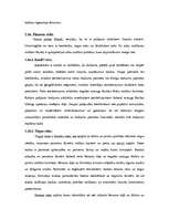 Prakses atskaite 'A/s "Parex banka"', 40.