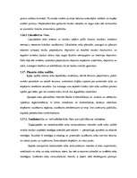 Prakses atskaite 'A/s "Parex banka"', 41.