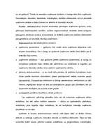 Prakses atskaite 'A/s "Parex banka"', 47.