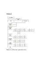 Prakses atskaite 'A/s "Parex banka"', 56.