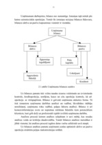 Diplomdarbs 'Bilances analīze uzņēmumam SIA "Saulespuķe"', 13.