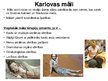 Prezentācija 'Karlovi Vari SPA kūrorts', 7.
