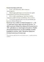 Konspekts 'Krusta kari', 2.