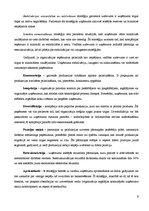 Referāts 'Stratēģiskā plānošana', 9.