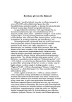 Konspekts 'Glezniecība 17. un 18.gadsimtā', 4.