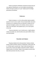 Biznesa plāns 'Biznesa plāns', 6.