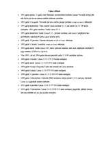 Referāts 'Datoru vēsture', 6.