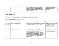 Referāts 'Pacienta aprūpes vēsture', 24.