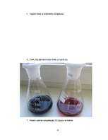 Referāts 'Ūdens cietība un tās novēršana', 23.