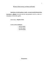 Prakses atskaite 'Sociālā gadījuma risināšanas prakse', 5.