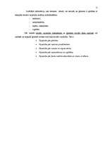 Prakses atskaite 'Sociālā gadījuma risināšanas prakse', 12.