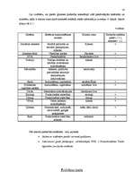 Prakses atskaite 'Sociālā gadījuma risināšanas prakse', 16.