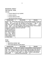 Prakses atskaite 'Pirmsskolas prakses atskaite', 8.