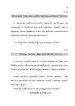 Referāts 'Investīcijas', 13.