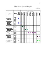 Biznesa plāns 'Biznesa plāns "Peintbola zeme"', 11.