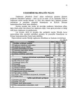Biznesa plāns 'Biznesa plāns "Peintbola zeme"', 12.