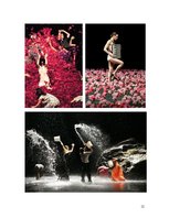 Referāts 'Pīna Bauša', 12.